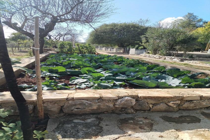 Holiday Home Višnja - Two Bedroom Holiday Home with Terrace - foto 24