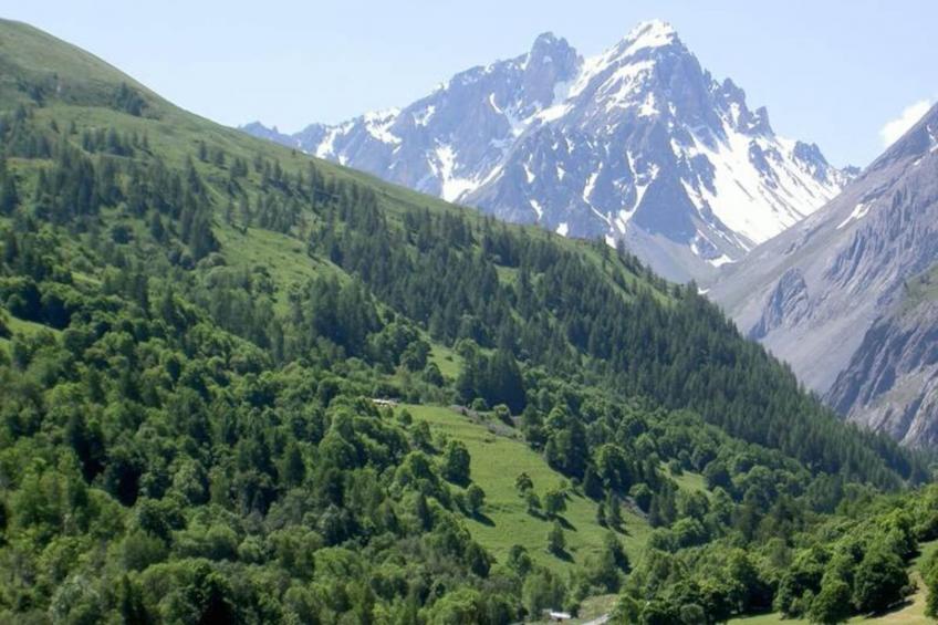 Residence Le Thymel - foto 5