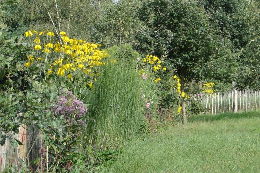 Heidezauber - foto 18