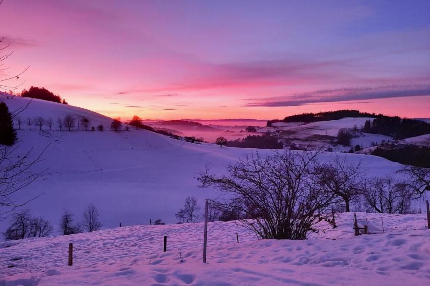 Im Althaus - foto 16