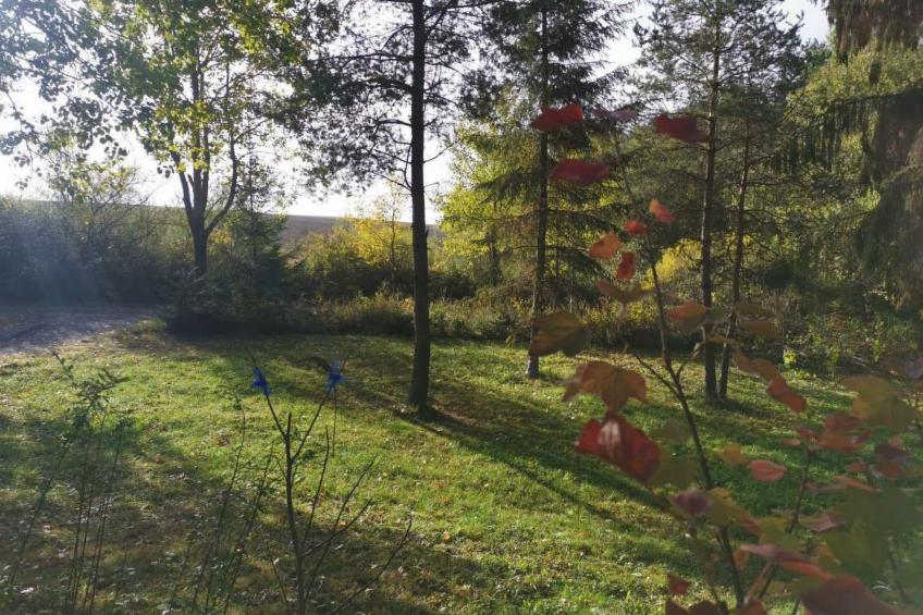 Cottage Tatry - foto 26