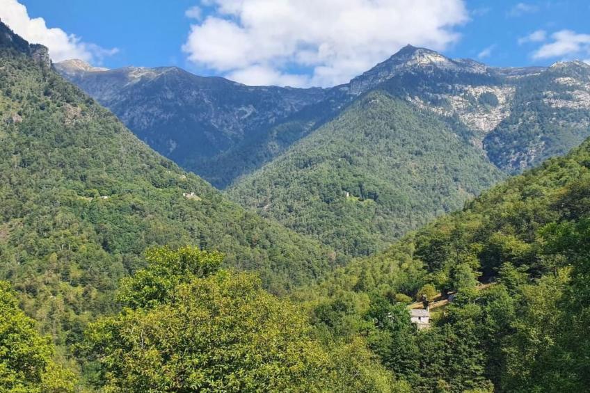 Casa delle Vigne - foto 51