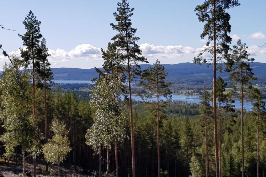 in Hagfors mit Großem Garten - foto 9