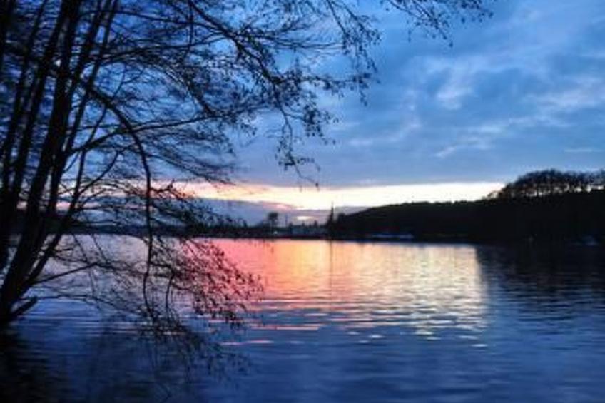 direkt am Werbellinsee - foto 12