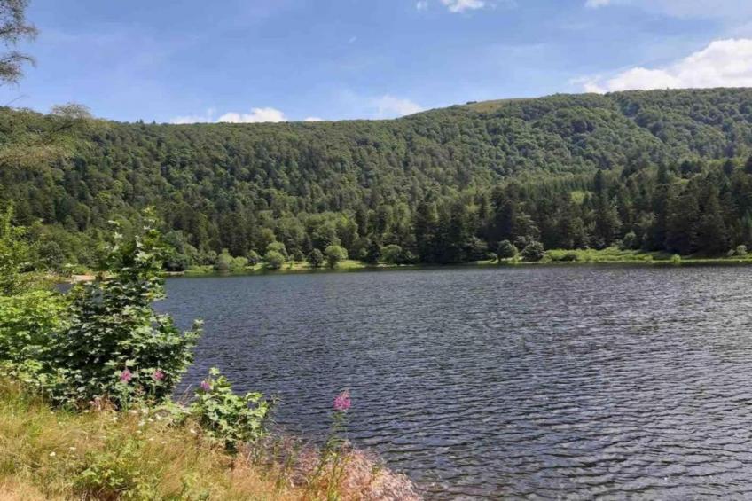 La Bergerie - foto 28