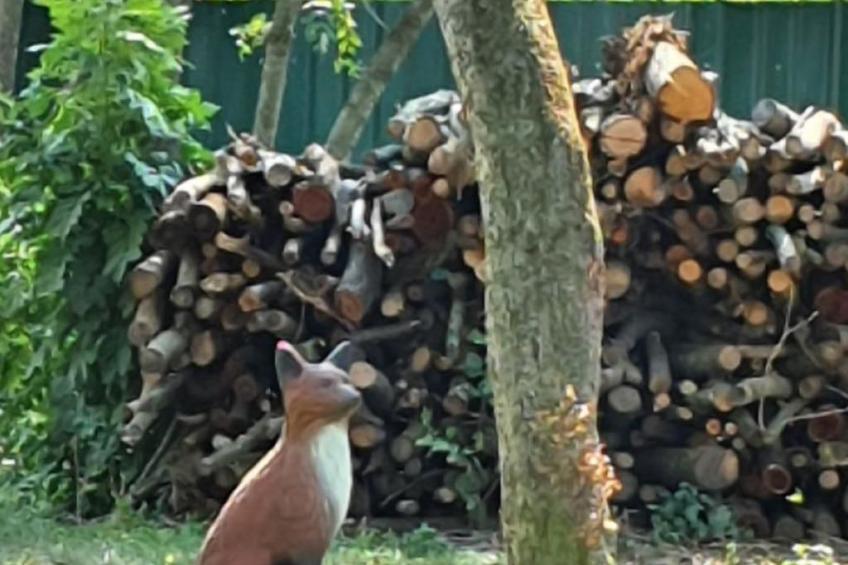 in Lócs mit Privatem Pool - foto 33