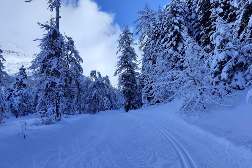 Urlaub in den Bergen - foto 27