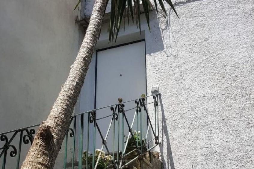 My  Home Sorrento - foto 5