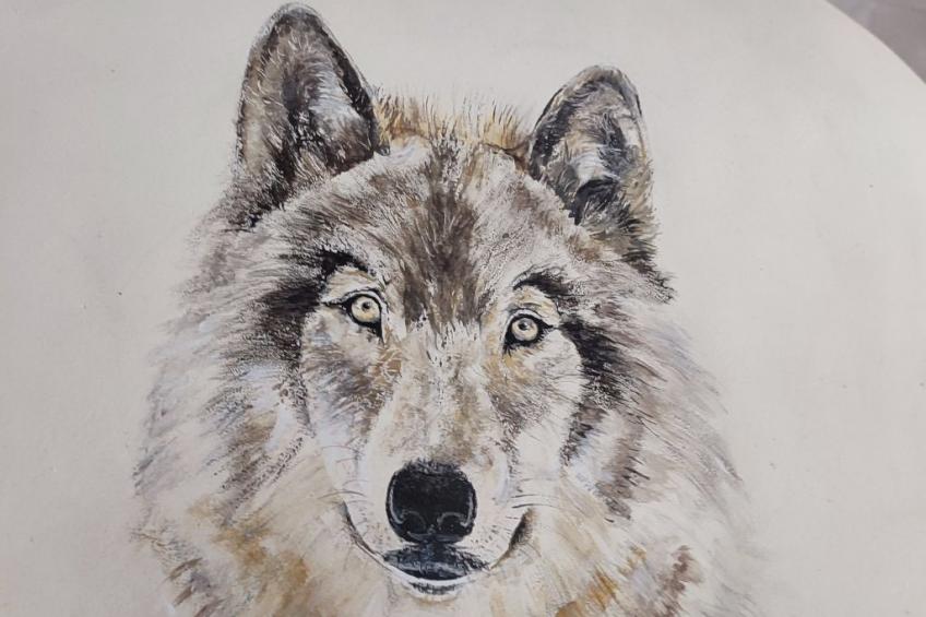 Tor der Berge - Hütte Wolf - foto 4