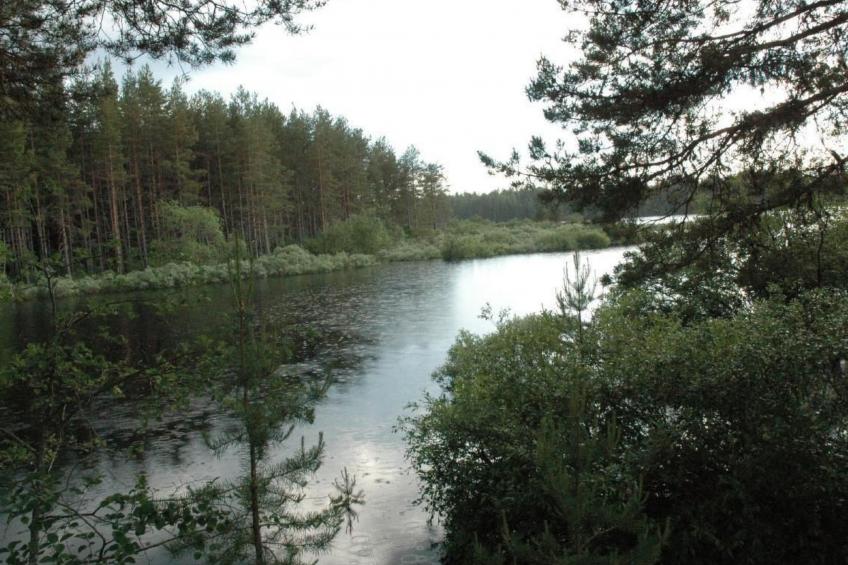 in Vindeln mit Garten, Terrasse und Grill - foto 24