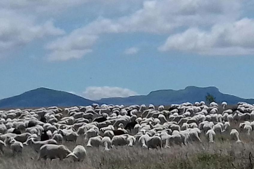 Casa rural hospital del temple - foto 40
