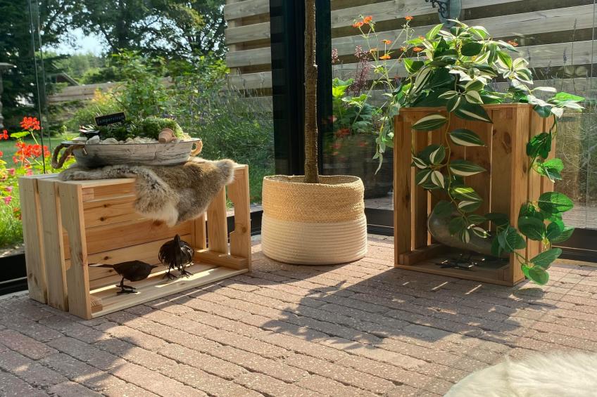 De Groninger Zeeuw - foto 56