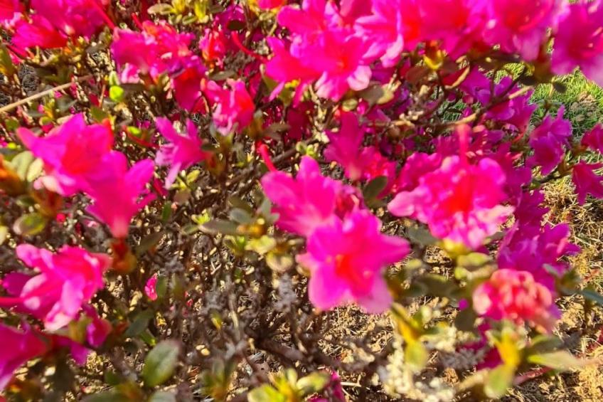 Antre Parenthèse de Sainte-Cécile - foto 17