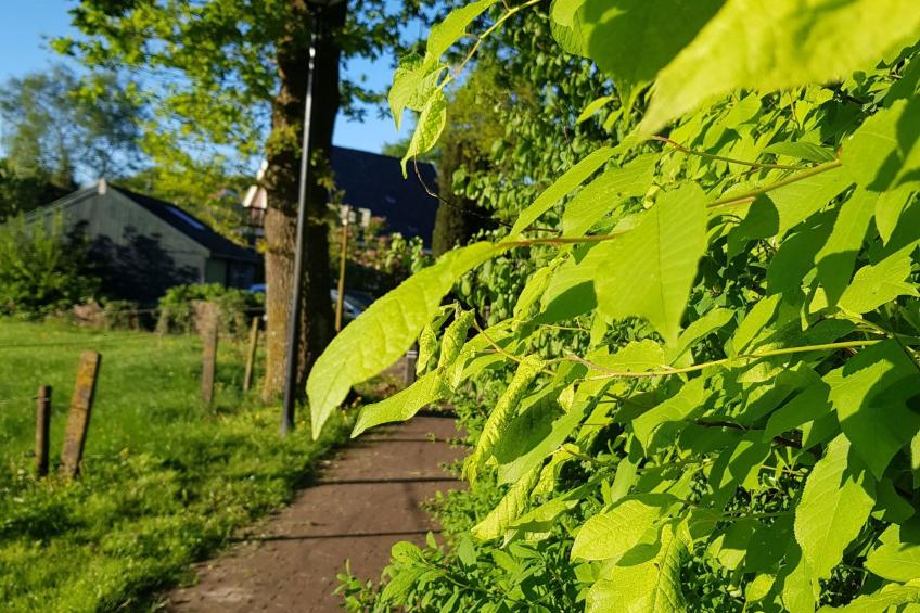 Geschmackvoll eingerichtetes Bauernhaus aus dem 19. - foto 28