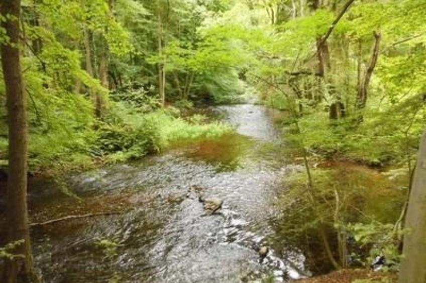 Turmwohnung - foto 18