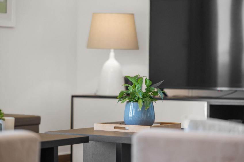 Beheizter Außenpool ohne Aufpreis - foto 33