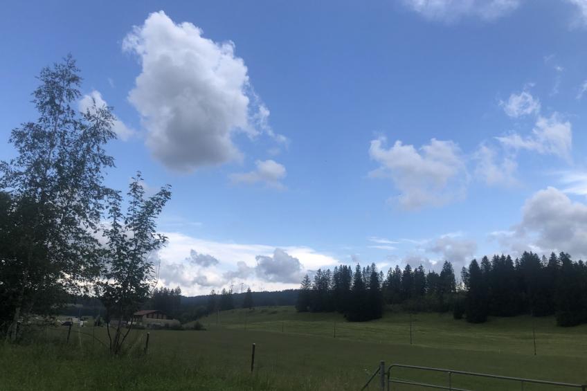 Appartement et B&B - Ferme O'Badu, (Les Breuleux), - foto 14