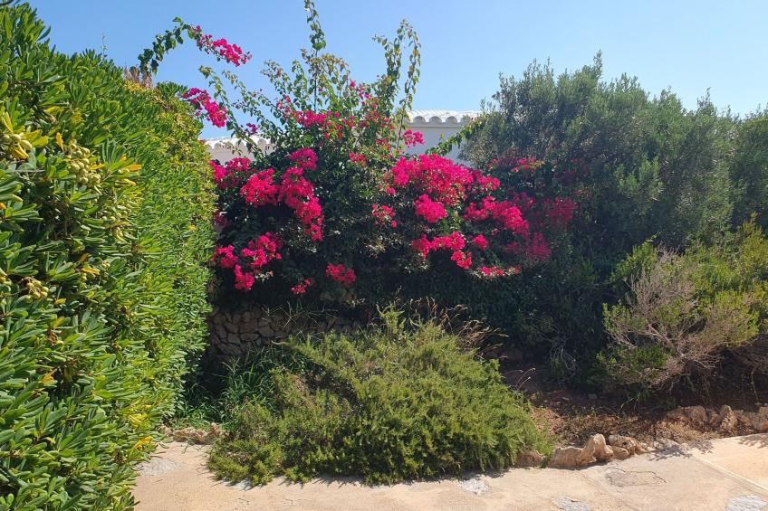 Ficula Vell Villa am Meer mit privatem Pool - foto 37