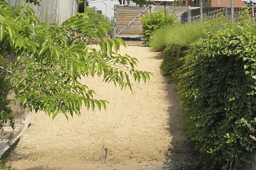 Wohnung in Brandenburg An Der Havel mit Grill, Terrasse und Garten - foto 36