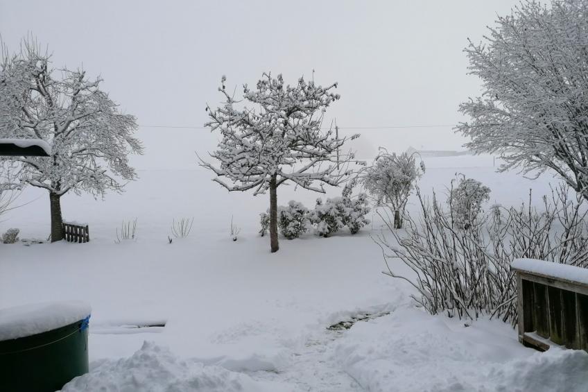 Region Tegernsee - foto 19