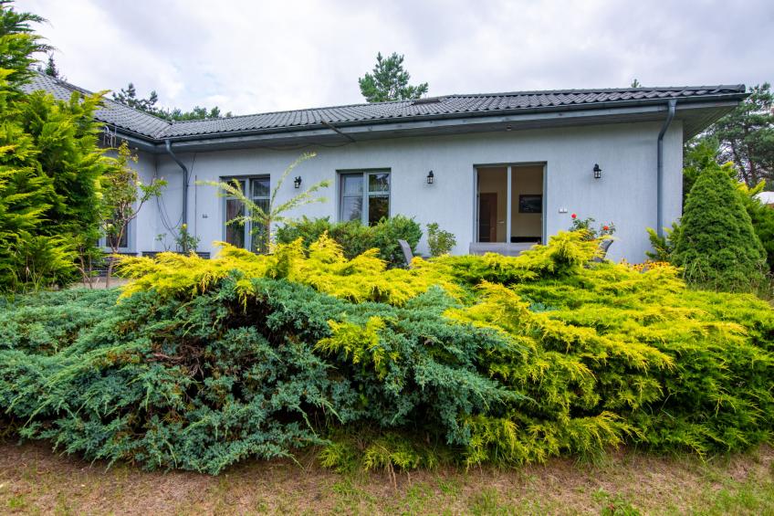 Głęboczek 1 - foto 16