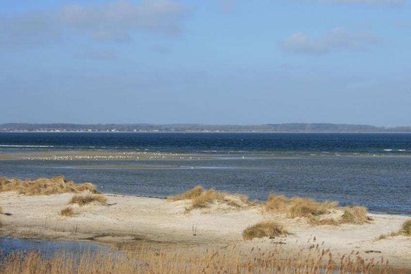 Tolle Ferienwohnung in Schönberger Strand - foto 16