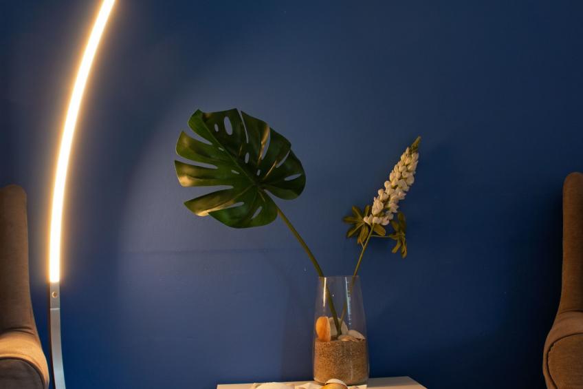 Monte Horizonte Casa Mimosa Öko und Natur - foto 12