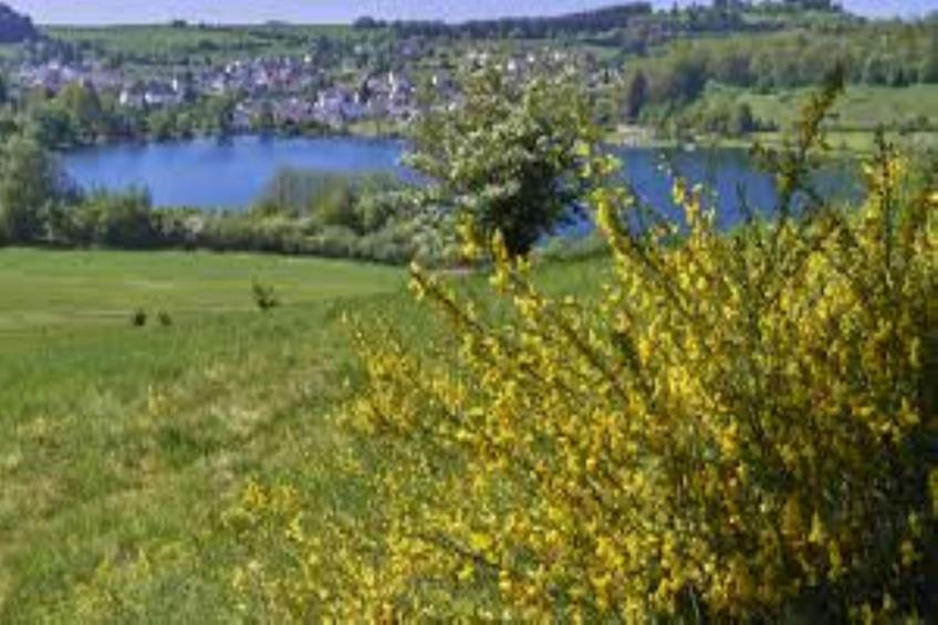 Ferienwohnung Winkel in der Vulkaneifel - foto 30