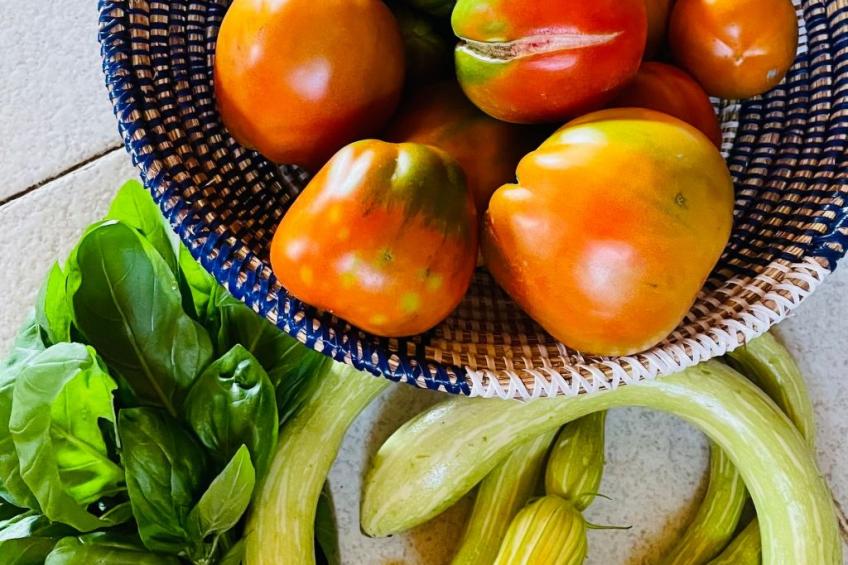 Casa Uliveto - foto 42