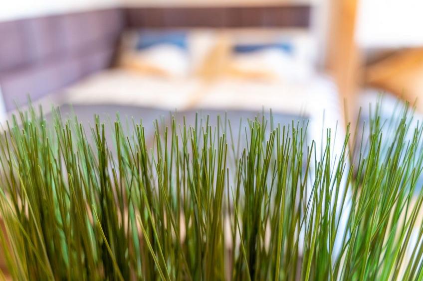 Golden Nugget - foto 18