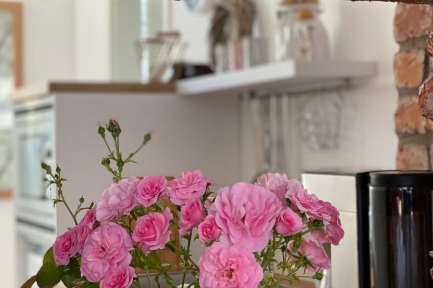 Gemütliche Wohnung in Hameln mit Garten - foto 11