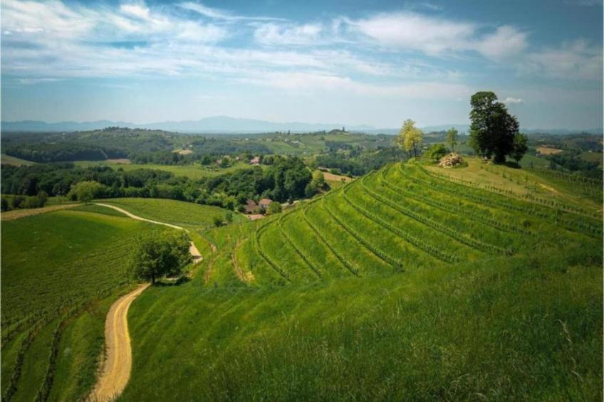 Studio Apartment Jasminka A2 - foto 37