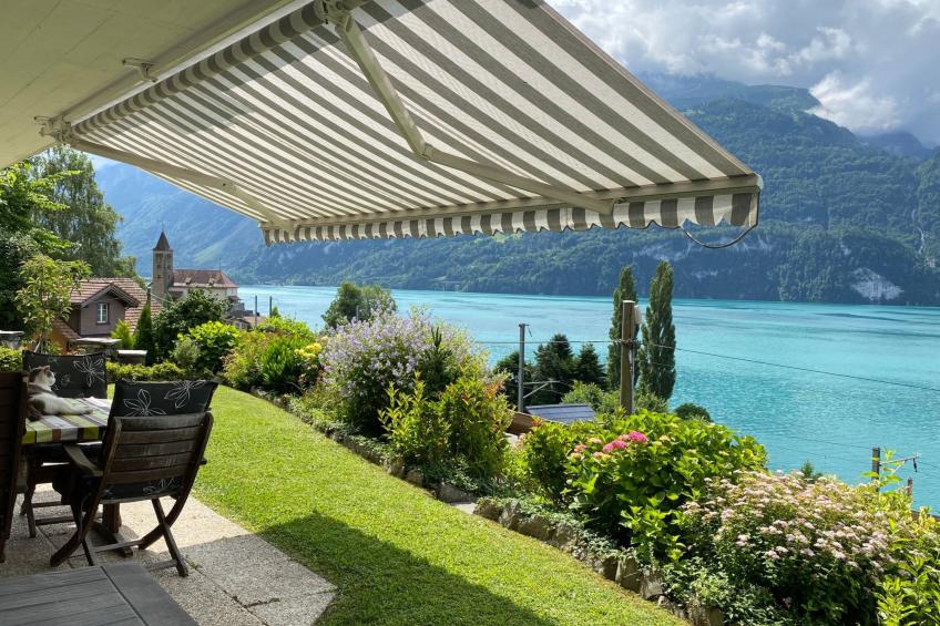 Studio Brienz - foto 5