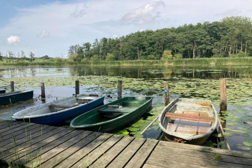 Im Grünen 1 - foto 31