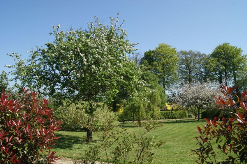 Normannisches Ferienhaus mit Charme les châtaigniers 1 Zimmer - foto 31