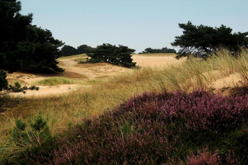 RCN Vakantiepark de Roggeberg 1 - foto 36