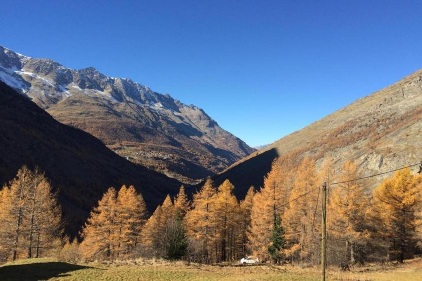 Chalet Sunstar große Wohnung - foto 20