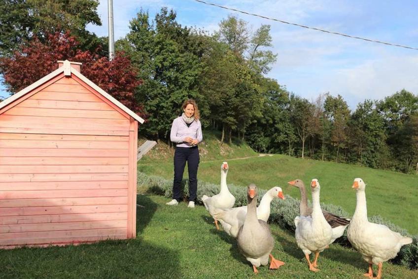 Duck's Cottage für einen Dolomitenurlaub - foto 29