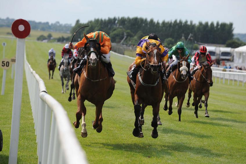 Eagle View Holiday Home - foto 15