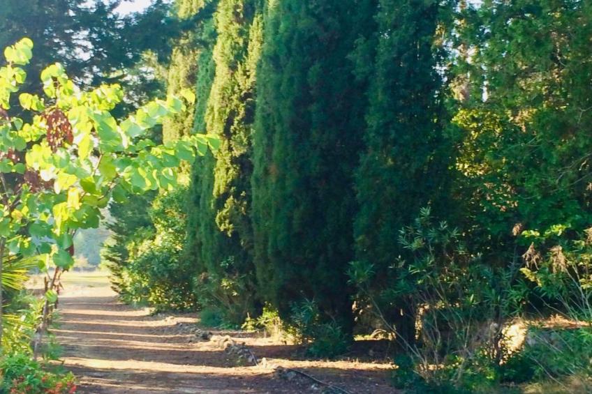 Bergerie de Peymeyan - foto 10