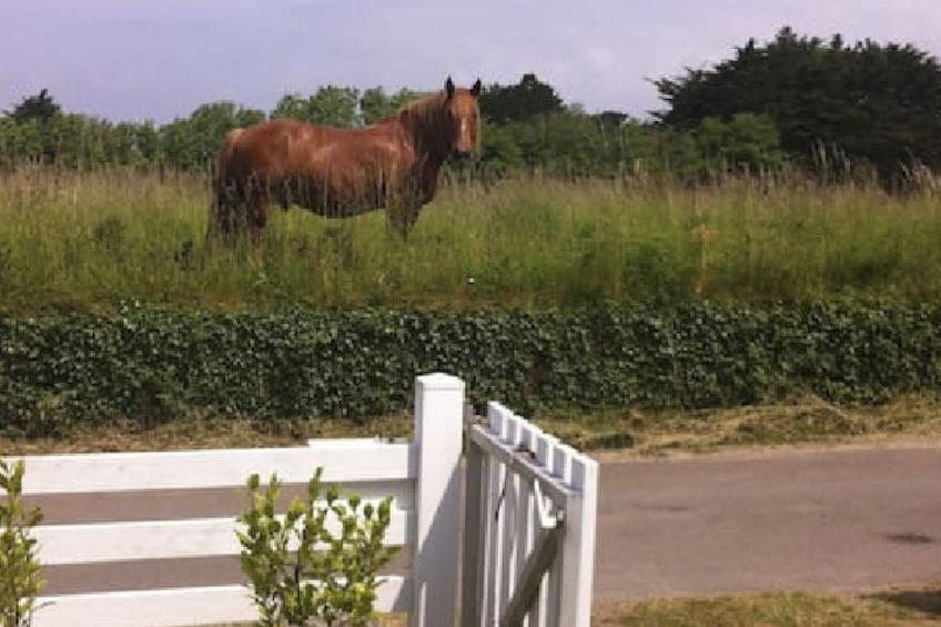 Tolles Ferienhaus in Esquibien mit Großem Garten - foto 8
