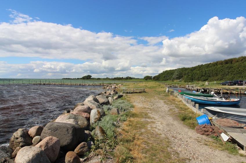 "Wrage" - 500m from the sea in Funen - foto 3