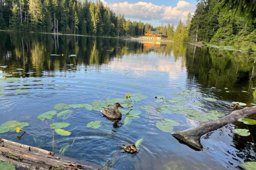 Gesamte Wohnung in Böbrach mit Garten und Grill - foto 11
