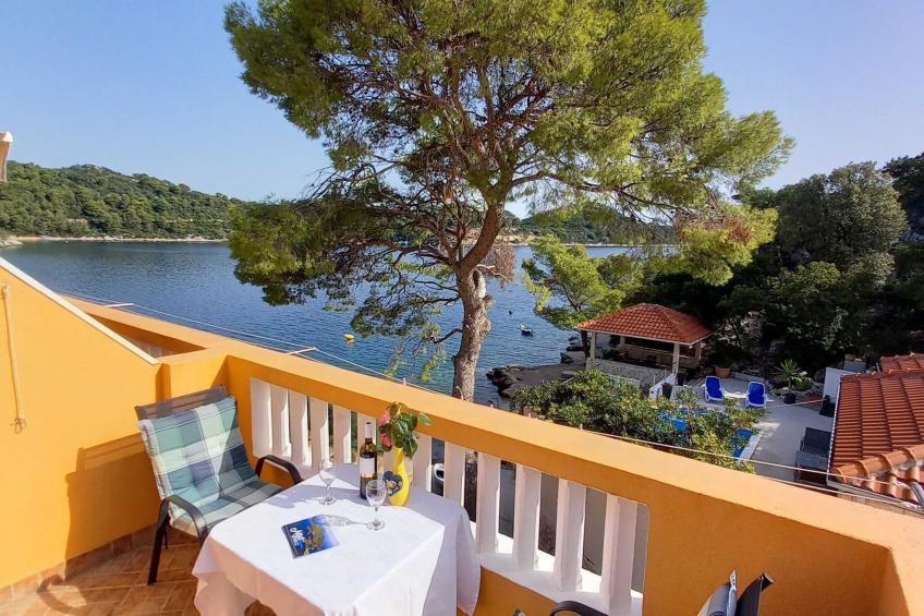 Apartments Vinko Mljet- One-Bedroom Apartment with Terrace (A5)