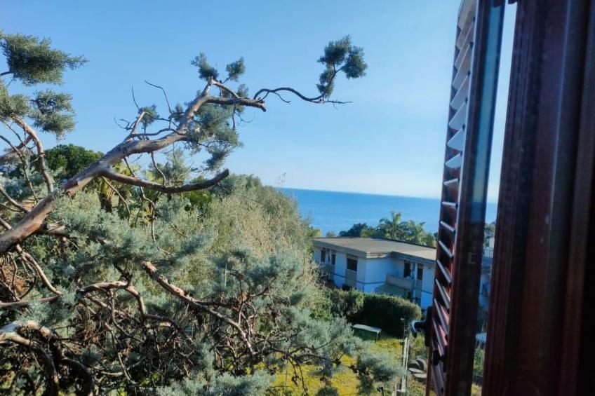 'Louise' in Strandnähe - foto 32