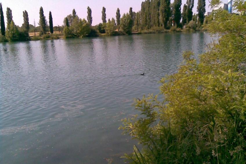 Ein-Zimmer-Wohnung - foto 14