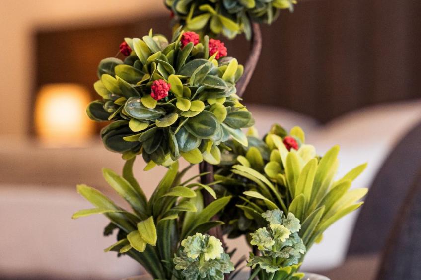 Luxuriöses Studio 6 - foto 10