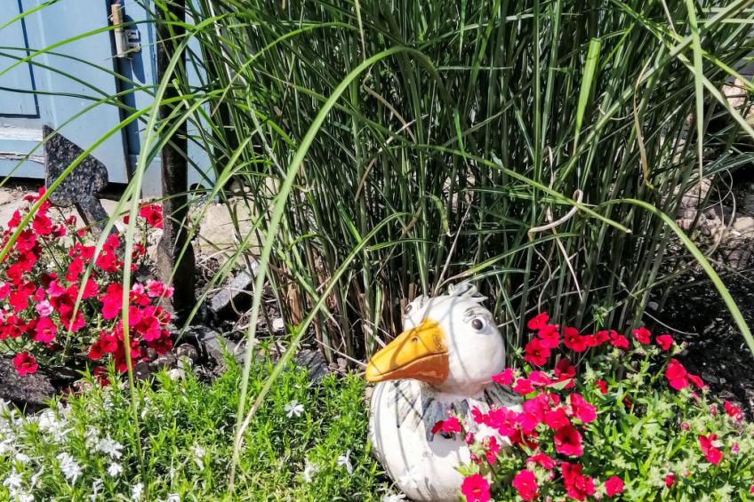 Ferienbungalow auf Gartengrundstück - foto 16