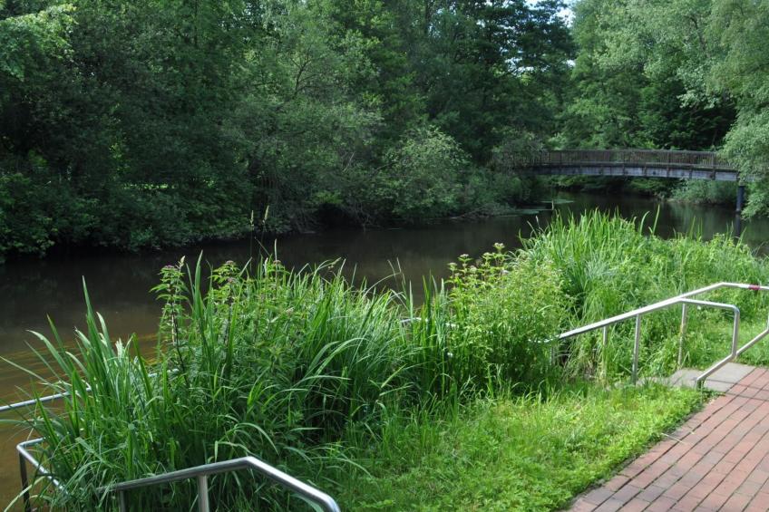 Rosalie - Ruhig - Zentral - Hochwertig - foto 39