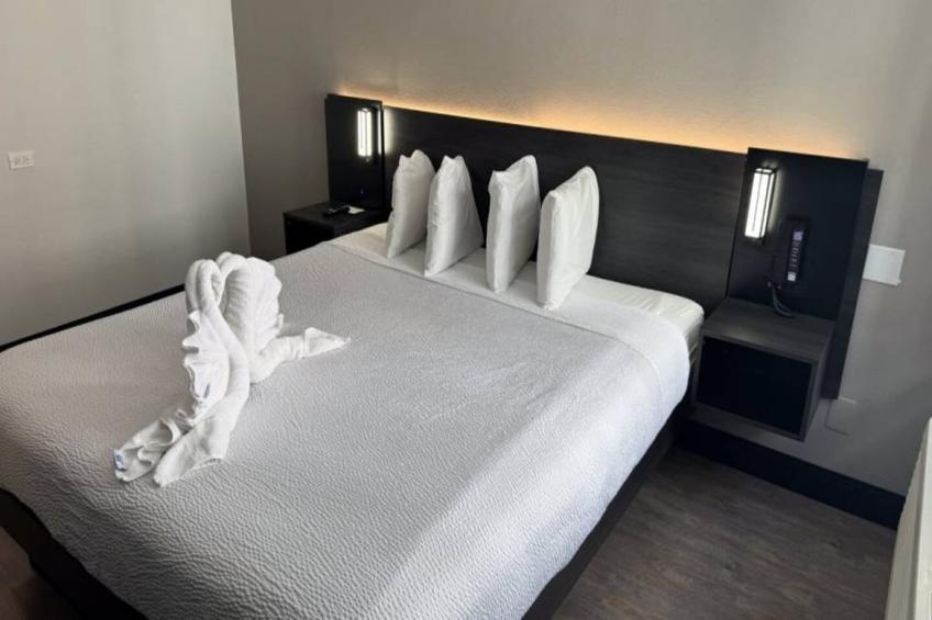 1 King Bed  Non-Smoking - foto 8